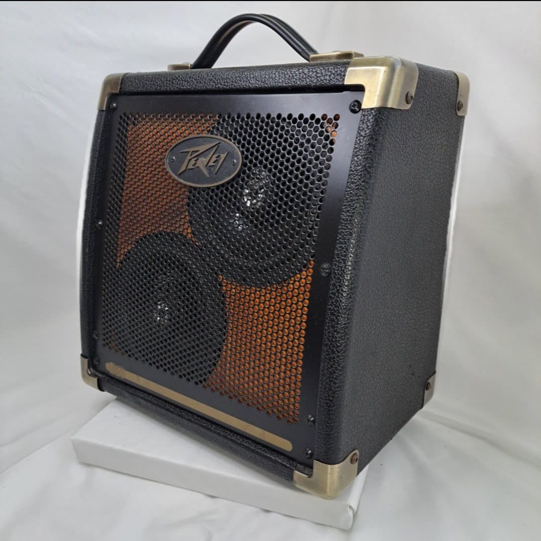 Peavey amplifier cabinet rebuilt as a Bluetooth speaker
